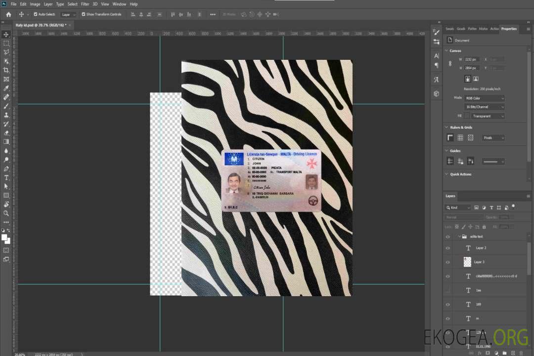 Photolook du permis de conduire de Malte AVANT template Photolook du permis de conduire de Malte AVANT template